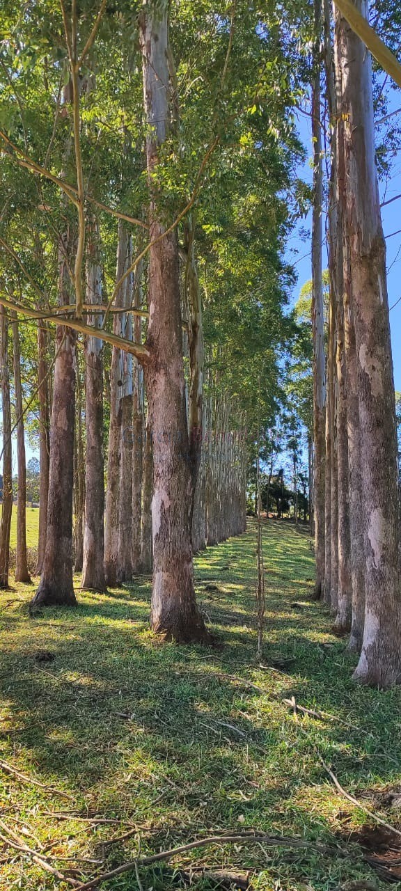 Fazenda de Luxo no Centro de Botucatu-SP: 4 quartos, 3 salas, 3 banheiros, 40 vagas de garagem, 2.890.000,00 m² de área