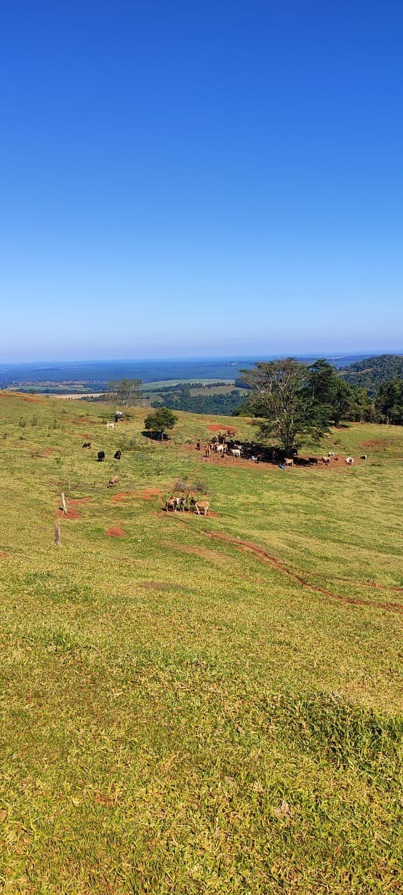 Fazenda de luxo no centro de botucatu-sp: 4 quartos, 3 salas
