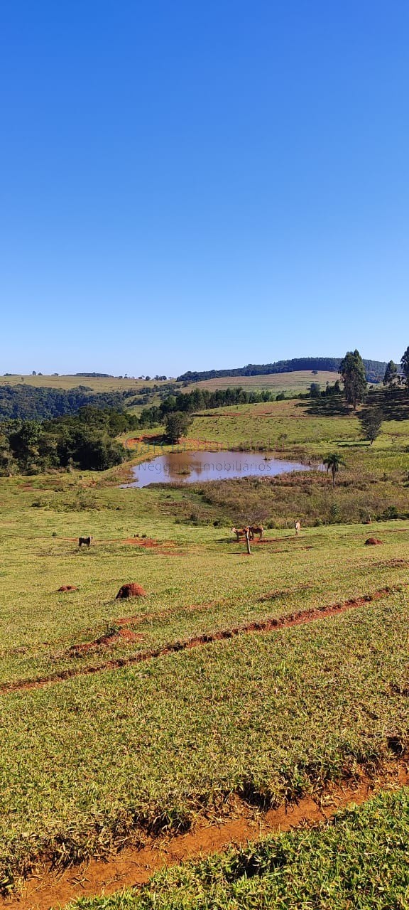 Fazenda de luxo no centro de botucatu-sp: 4 quartos, 3 salas