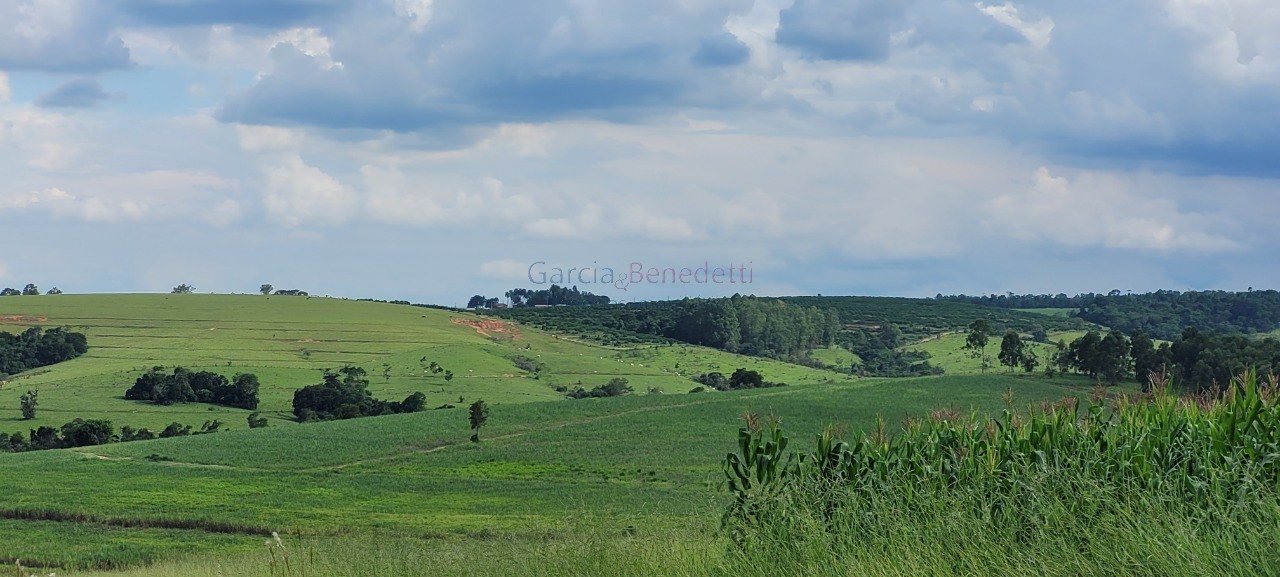 Sítio à venda em Tatuí - SP: 25 Alqueires - 605.000 m² de Somente Terra.