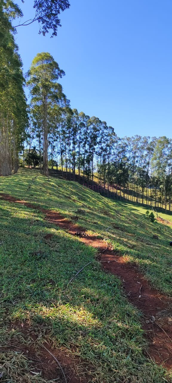 Fazenda de Luxo no Centro de Botucatu-SP: 4 quartos, 3 salas, 3 banheiros, 40 vagas de garagem, 2.890.000,00 m² de área