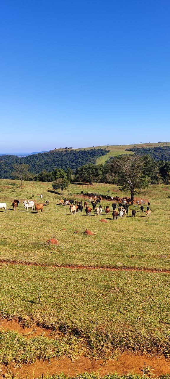 Fazenda de luxo no centro de botucatu-sp: 4 quartos, 3 salas
