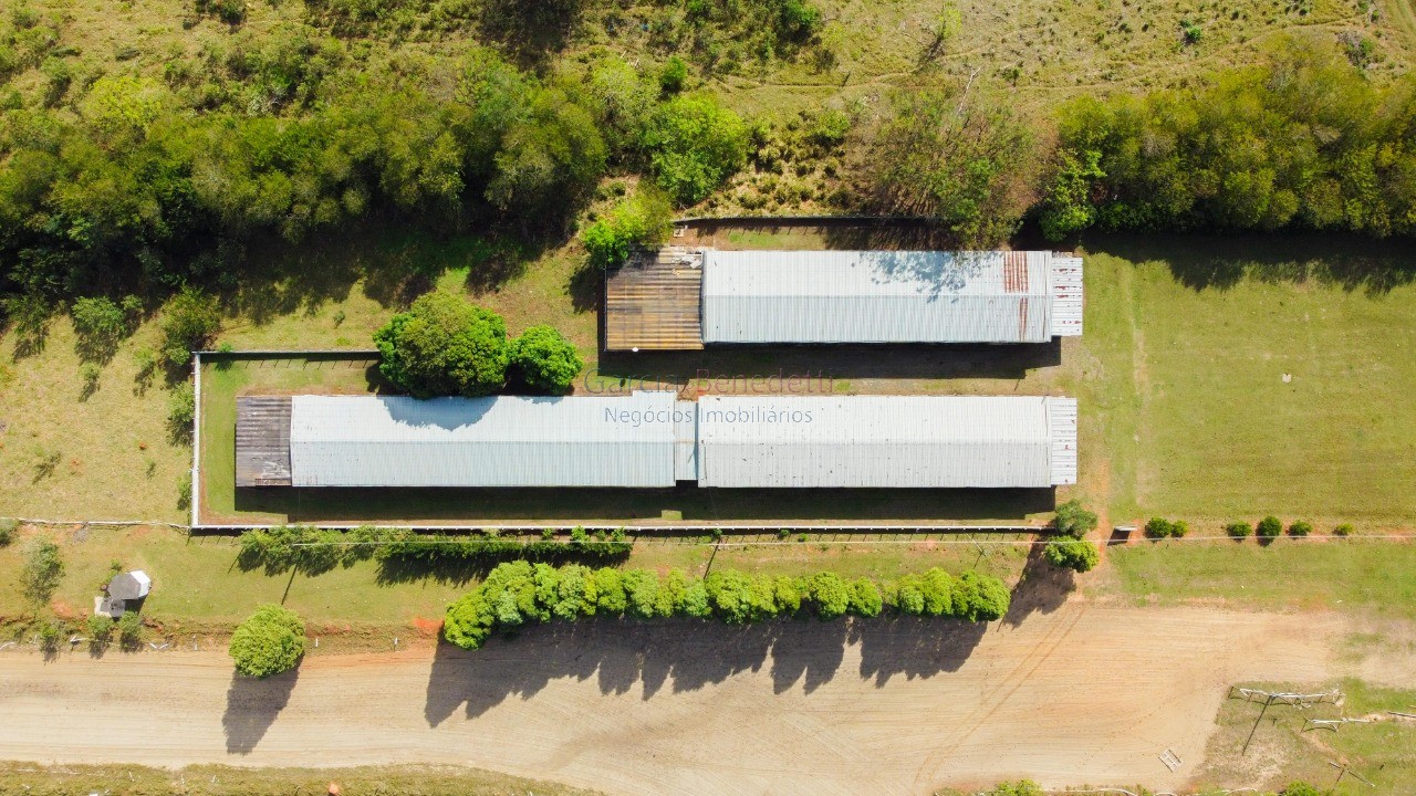 Haras de luxo à venda em porto feliz-sp: 6 quartos, 3 salas,