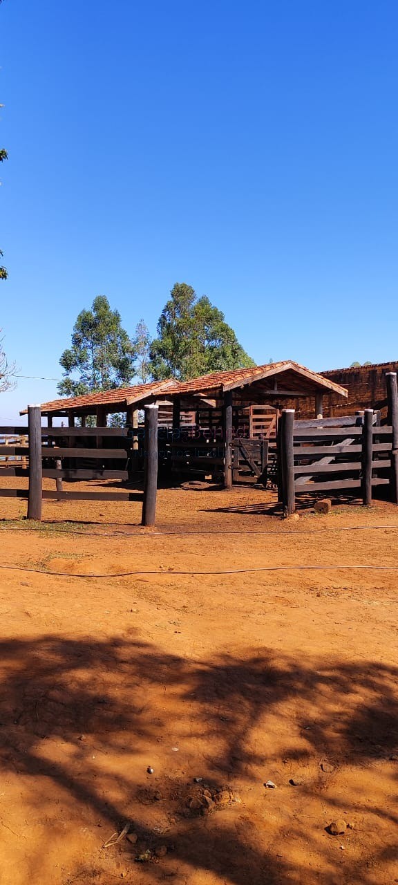 Fazenda de Luxo no Centro de Botucatu-SP: 4 quartos, 3 salas, 3 banheiros, 40 vagas de garagem, 2.890.000,00 m² de área