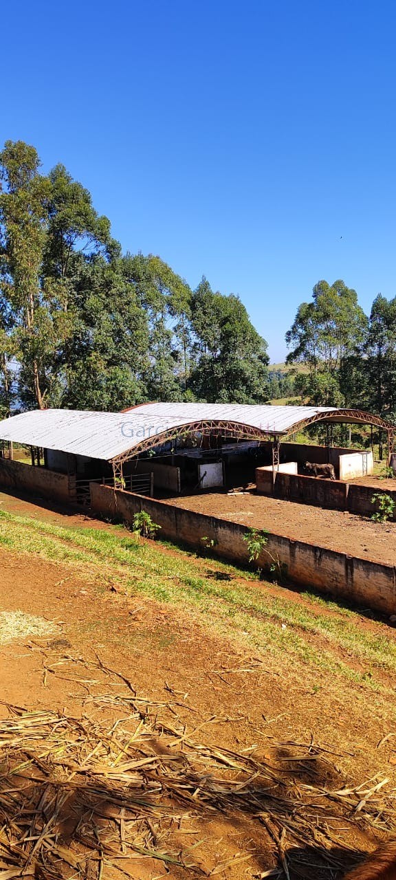 Fazenda de Luxo no Centro de Botucatu-SP: 4 quartos, 3 salas, 3 banheiros, 40 vagas de garagem, 2.890.000,00 m² de área