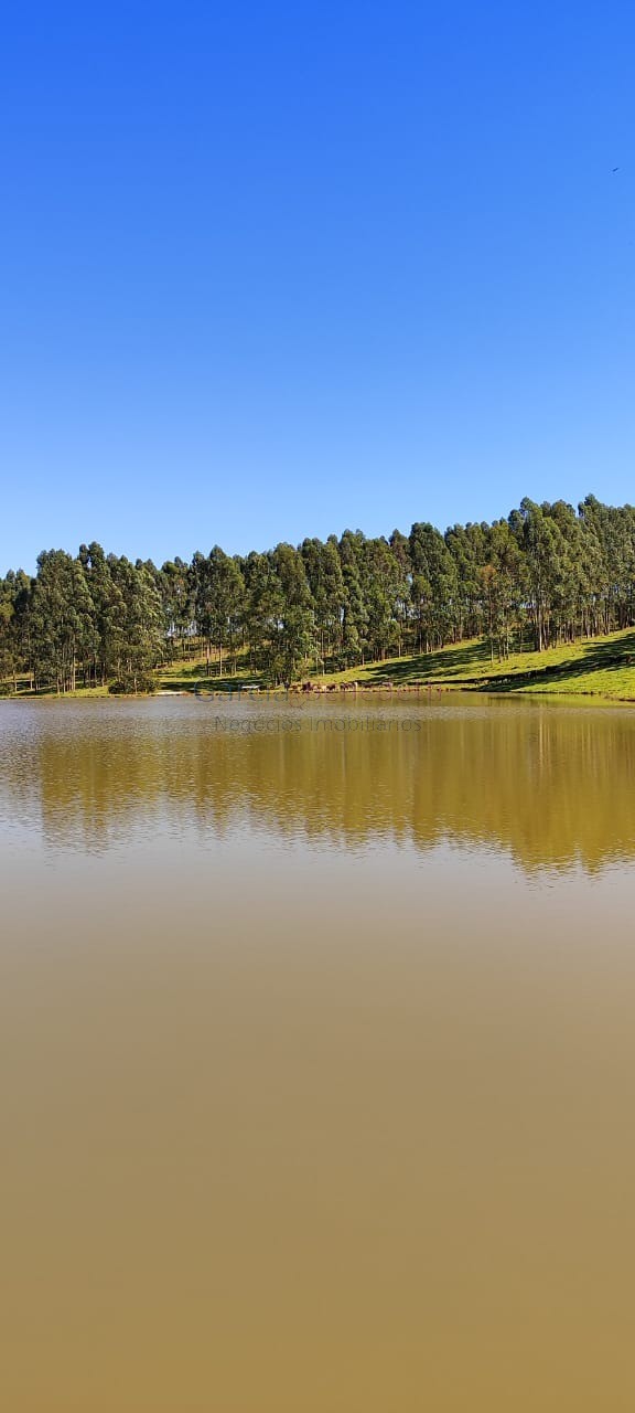 Fazenda de Luxo no Centro de Botucatu-SP: 4 quartos, 3 salas, 3 banheiros, 40 vagas de garagem, 2.890.000,00 m² de área