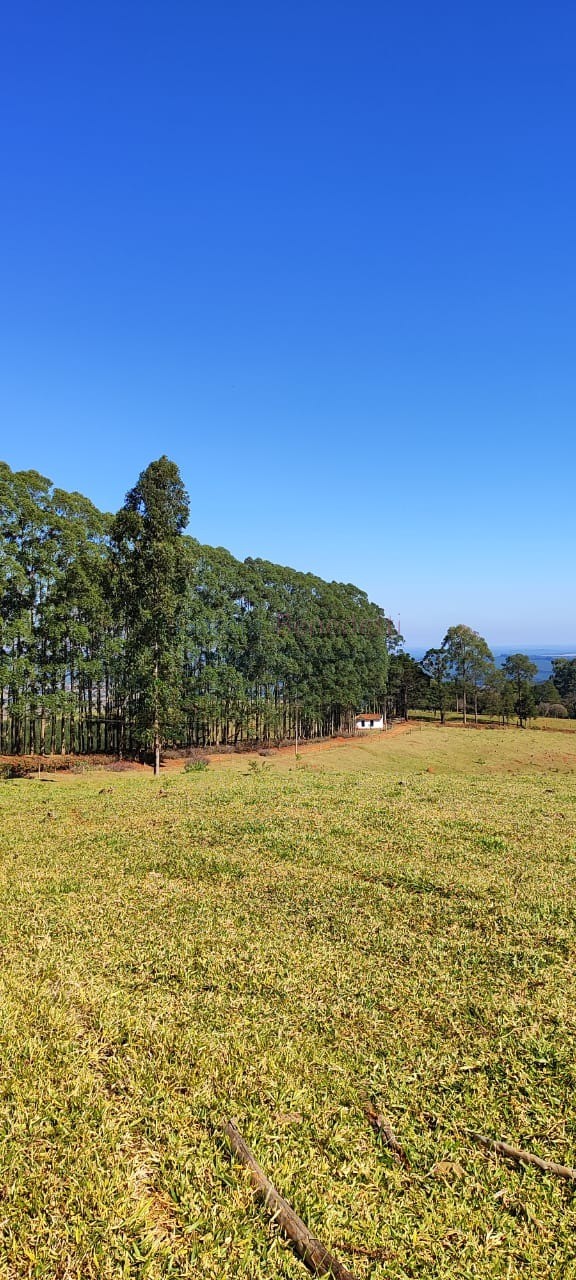 Fazenda de Luxo no Centro de Botucatu-SP: 4 quartos, 3 salas, 3 banheiros, 40 vagas de garagem, 2.890.000,00 m² de área