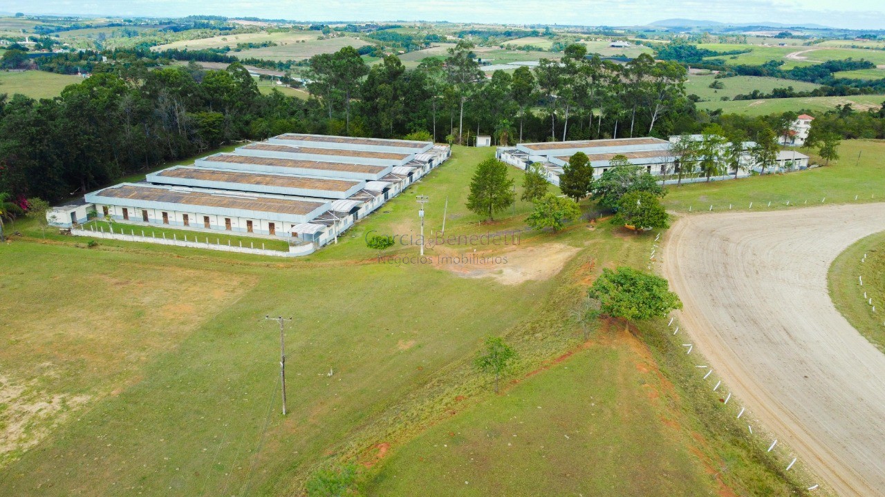Haras de luxo à venda em porto feliz-sp: 6 quartos, 3 salas,