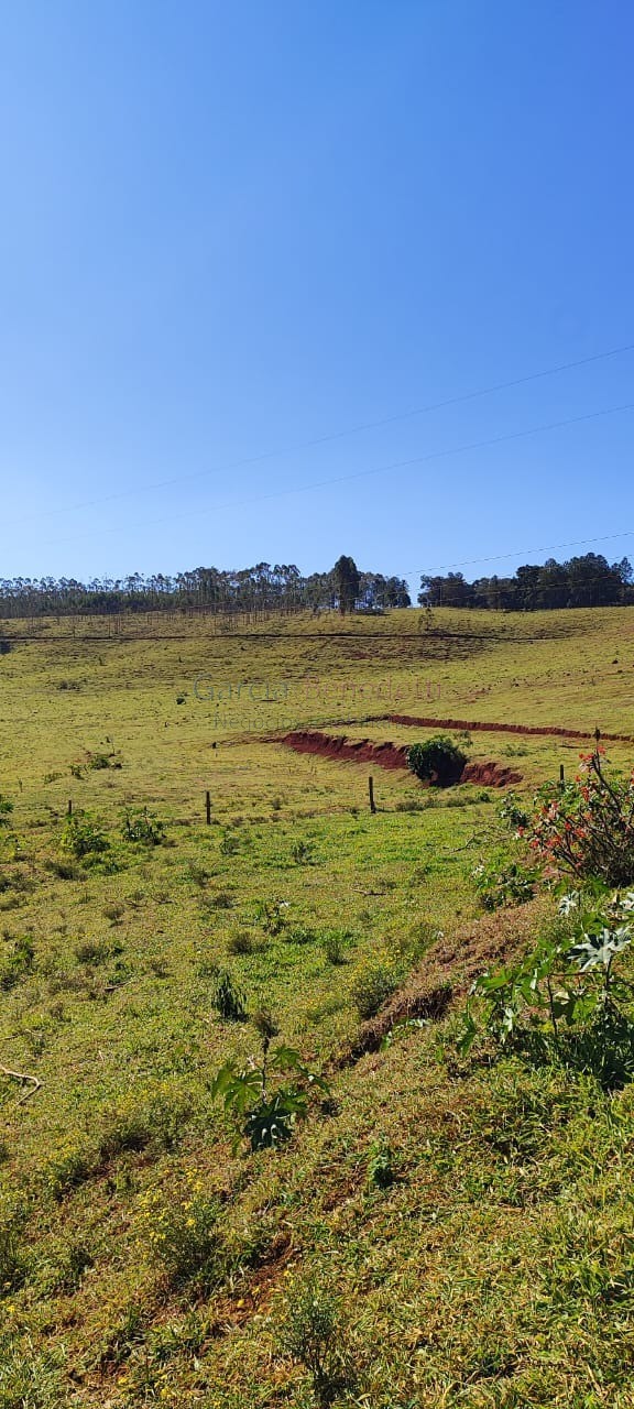 Fazenda de Luxo no Centro de Botucatu-SP: 4 quartos, 3 salas, 3 banheiros, 40 vagas de garagem, 2.890.000,00 m² de área