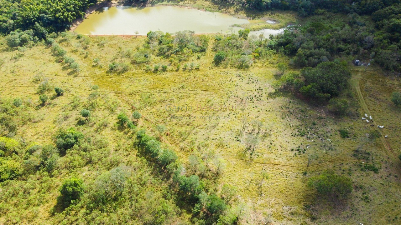Haras de luxo à venda em porto feliz-sp: 6 quartos, 3 salas,