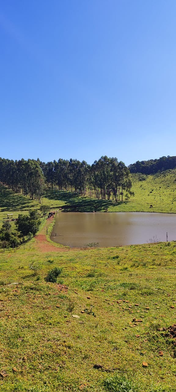 Fazenda de Luxo no Centro de Botucatu-SP: 4 quartos, 3 salas, 3 banheiros, 40 vagas de garagem, 2.890.000,00 m² de área