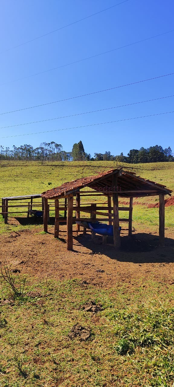Fazenda de Luxo no Centro de Botucatu-SP: 4 quartos, 3 salas, 3 banheiros, 40 vagas de garagem, 2.890.000,00 m² de área