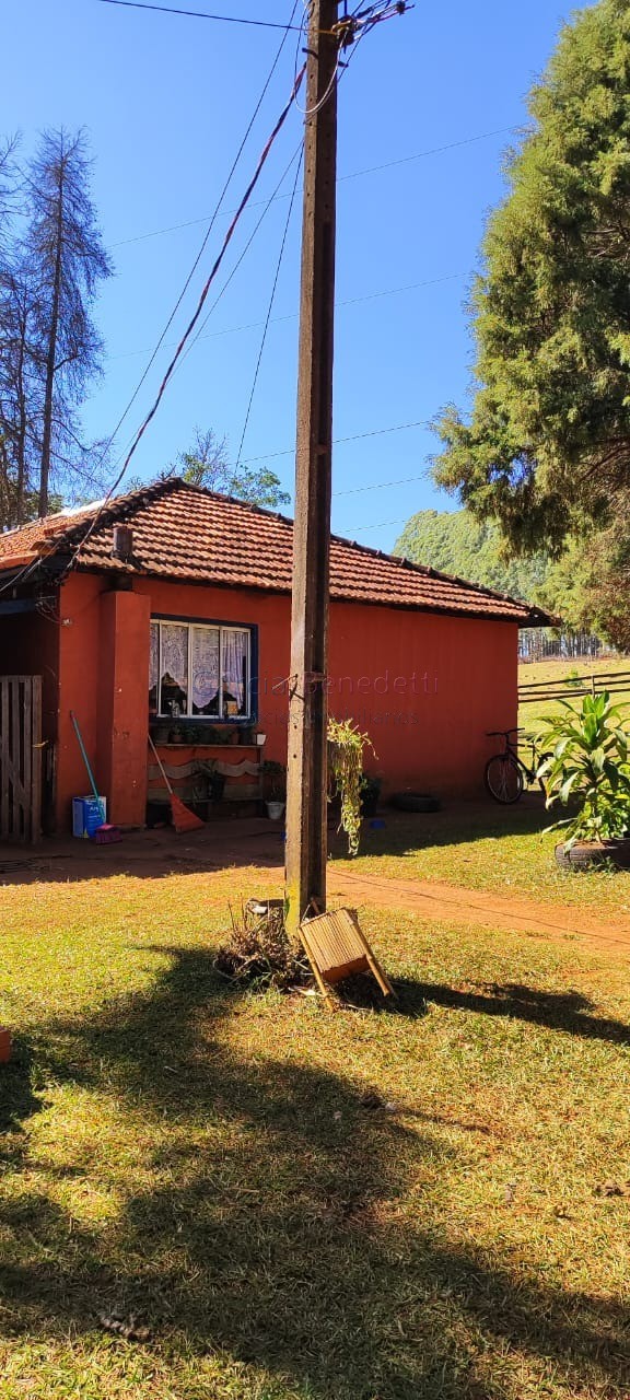 Fazenda de Luxo no Centro de Botucatu-SP: 4 quartos, 3 salas, 3 banheiros, 40 vagas de garagem, 2.890.000,00 m² de área