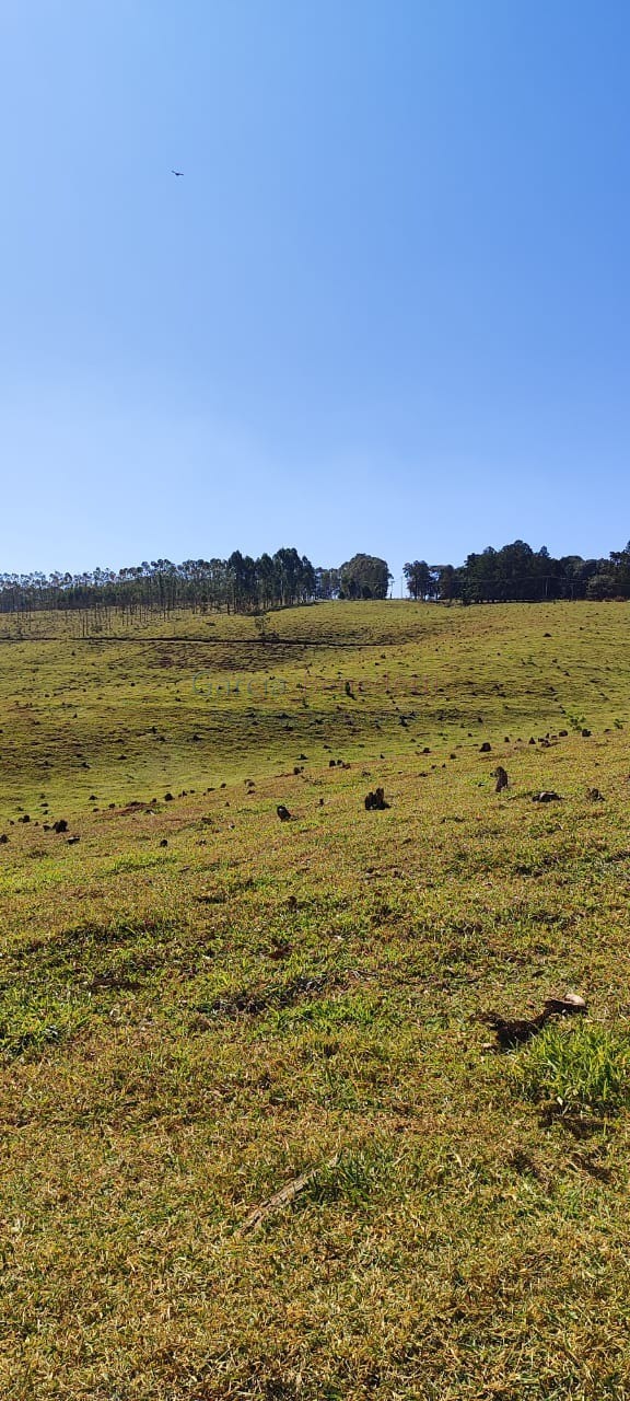Fazenda de Luxo no Centro de Botucatu-SP: 4 quartos, 3 salas, 3 banheiros, 40 vagas de garagem, 2.890.000,00 m² de área