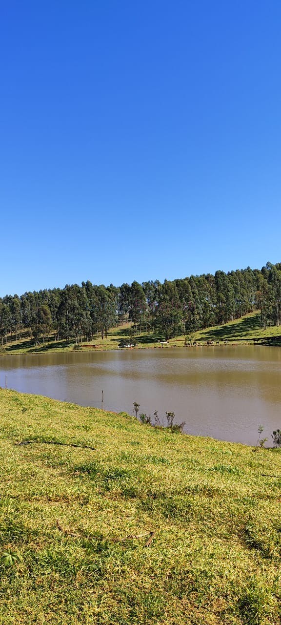 Fazenda de Luxo no Centro de Botucatu-SP: 4 quartos, 3 salas, 3 banheiros, 40 vagas de garagem, 2.890.000,00 m² de área