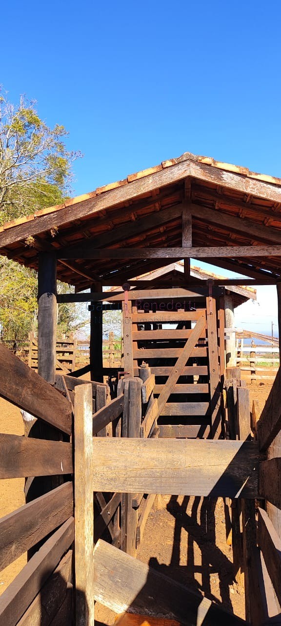 Fazenda de Luxo no Centro de Botucatu-SP: 4 quartos, 3 salas, 3 banheiros, 40 vagas de garagem, 2.890.000,00 m² de área
