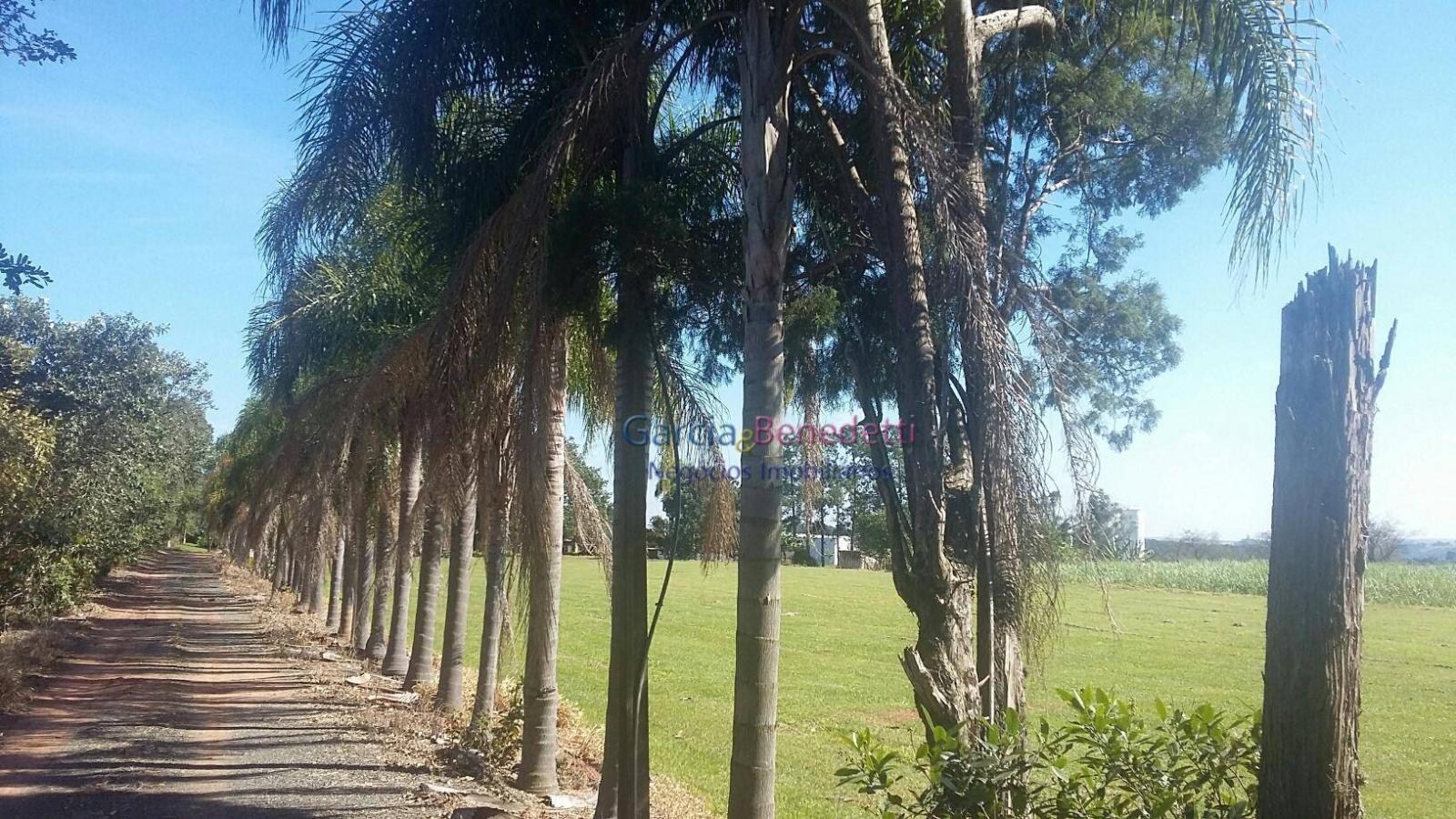 Área industrial a venda em porto feliz frente a rodovia mare - foto 13