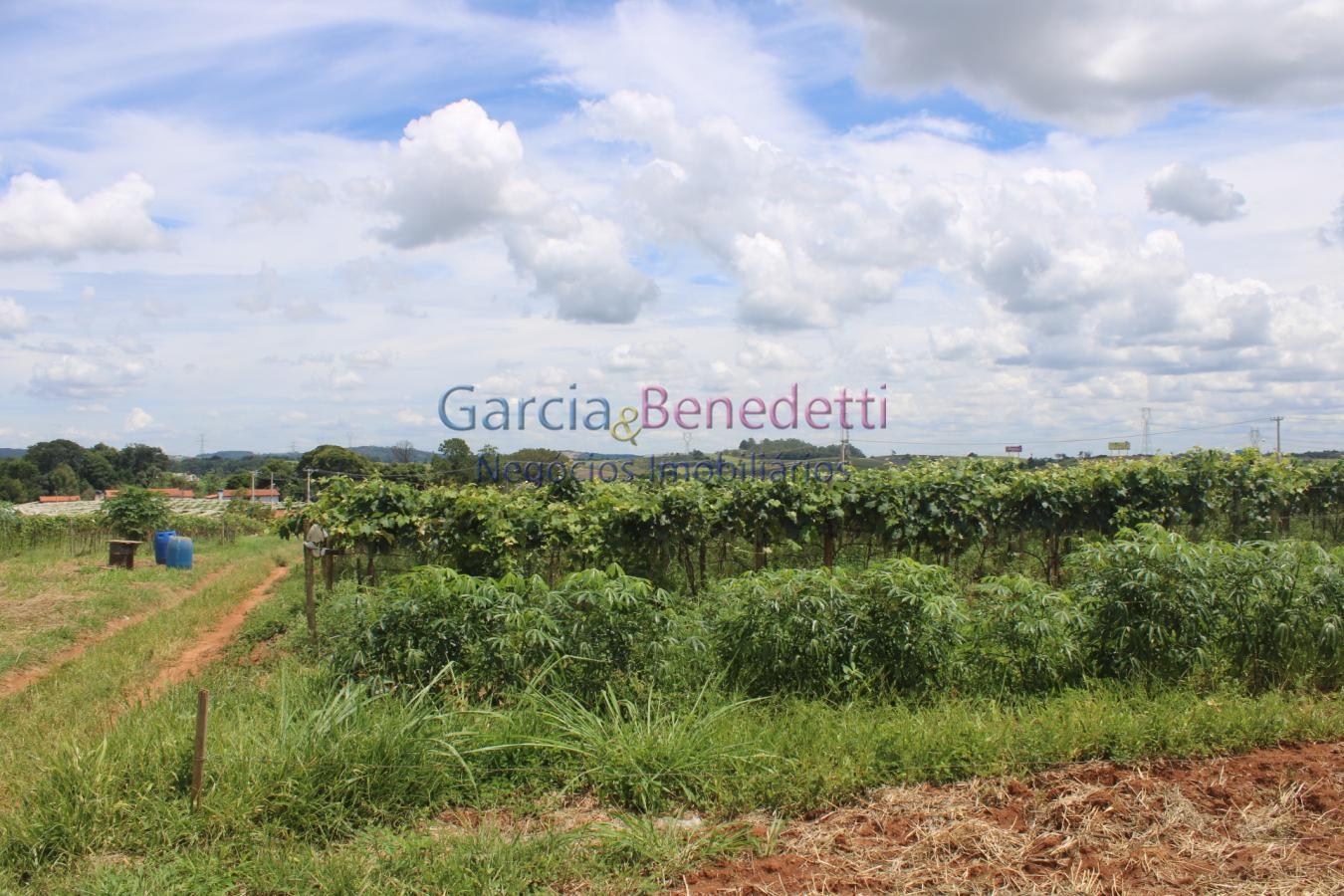 Sítio para venda em jundiaí / sp no bairro bom jardim