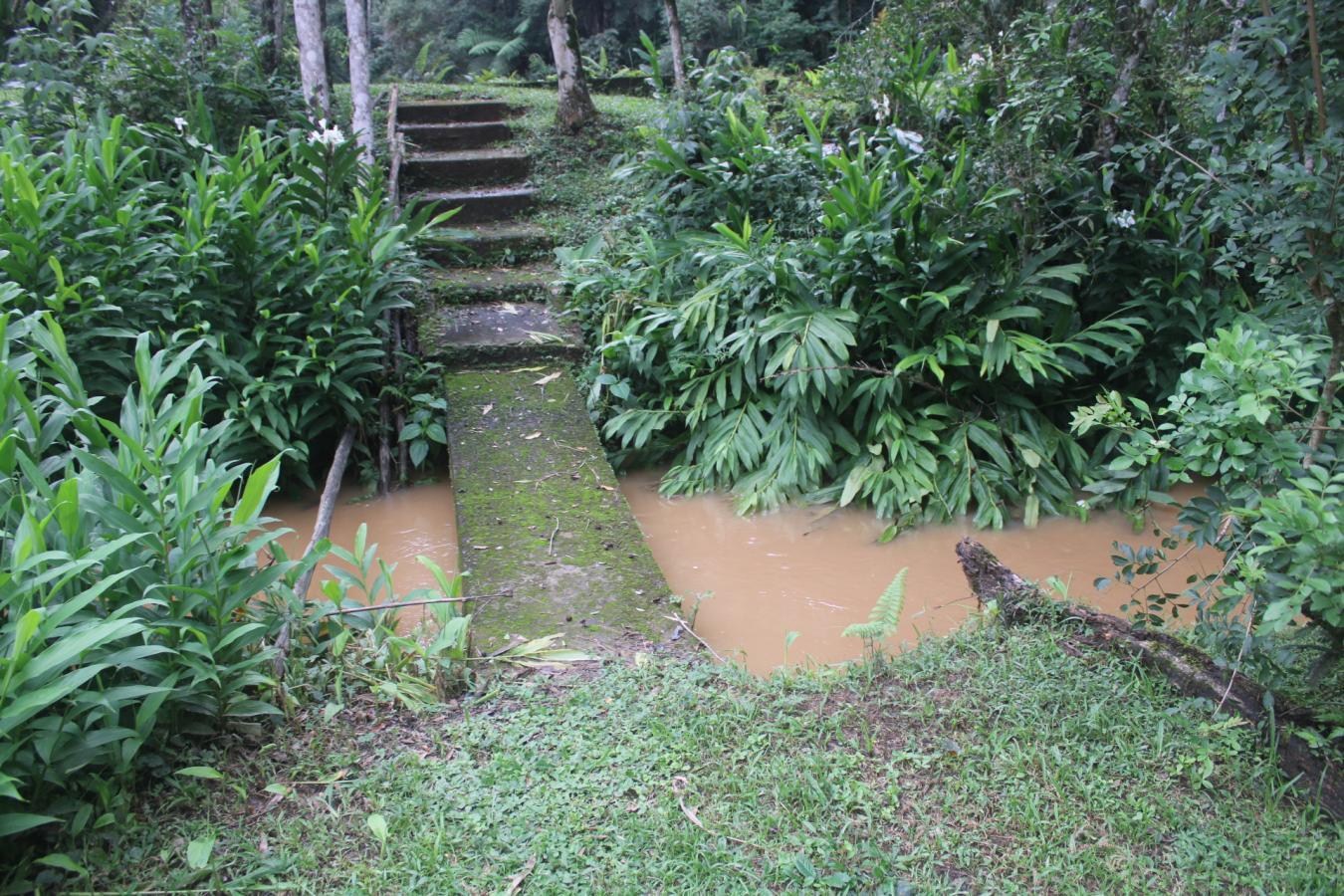 Lindo Sítio a Venda em Nazaré Paulista SP