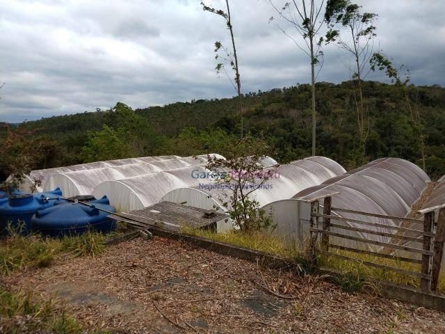 Lindo Sítio a Venda em Nazaré Paulista SP