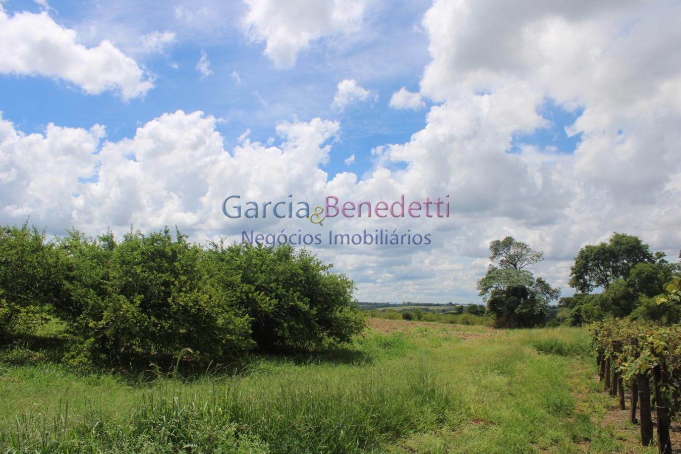 Sítio para Venda em Jundiaí / SP no bairro Bom Jardim - foto 19