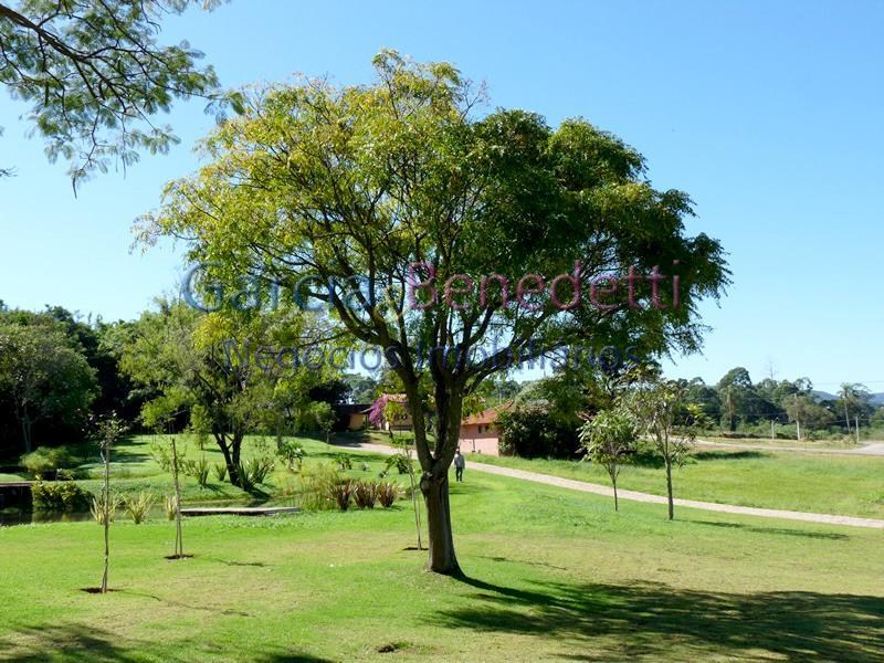 Terreno em condomínio alto padrão a venda em cabreúva reside