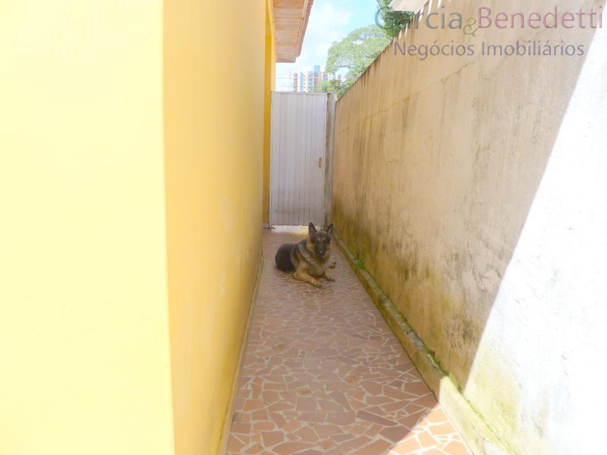Imperdível oportunidade: casa à venda em jundiaí-sp, vila ar