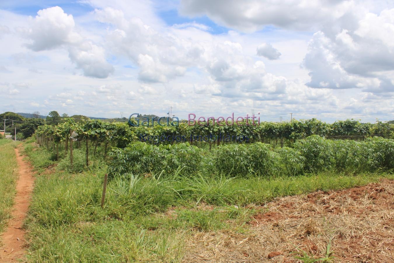 Sítio para venda em jundiaí / sp no bairro bom jardim