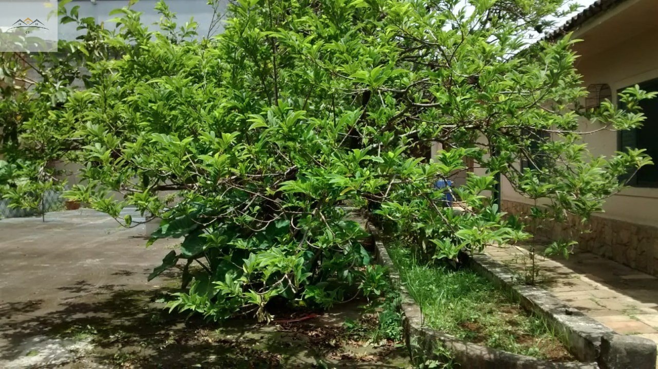 Terreno, 5470 m² - Foto 9