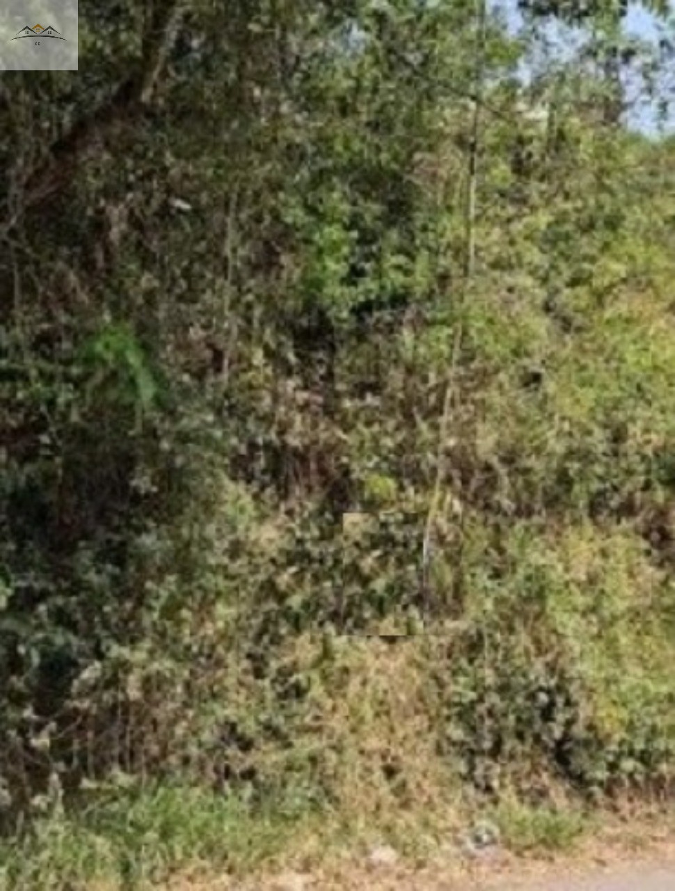 Terreno, 1010 m² - Foto 3