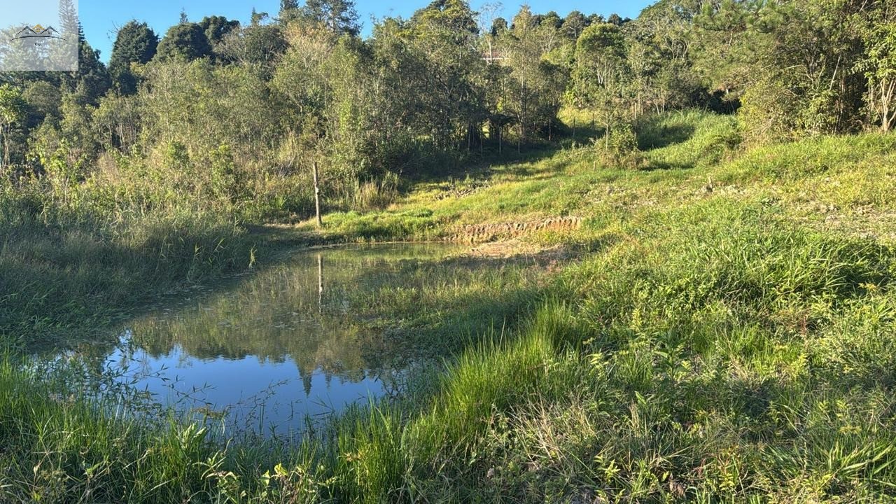 Chácara, 3 quartos - Foto 15
