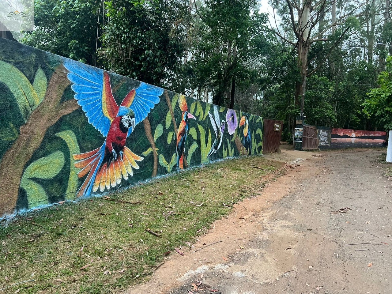 Chácara, 6 quartos - Foto 7