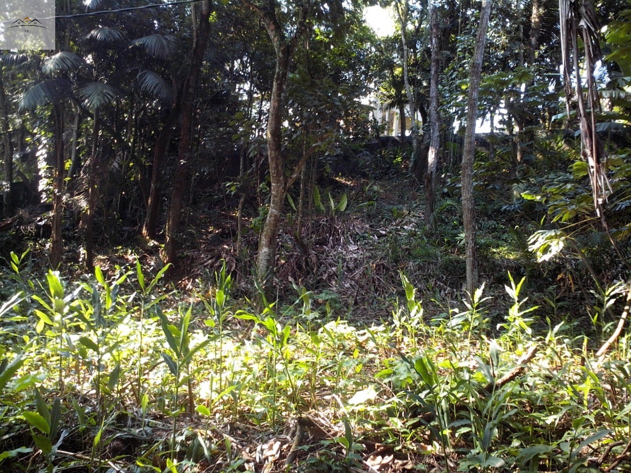 Terreno, 604 m² - Foto 3