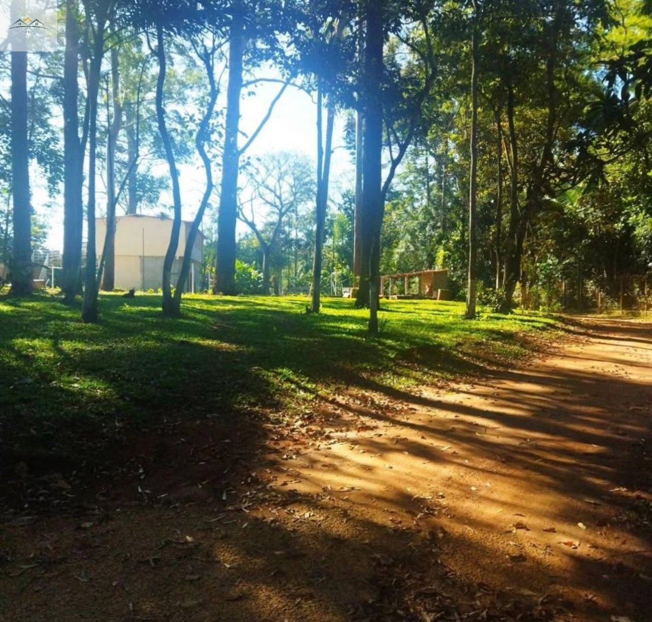 Chácara, 6 quartos - Foto 5