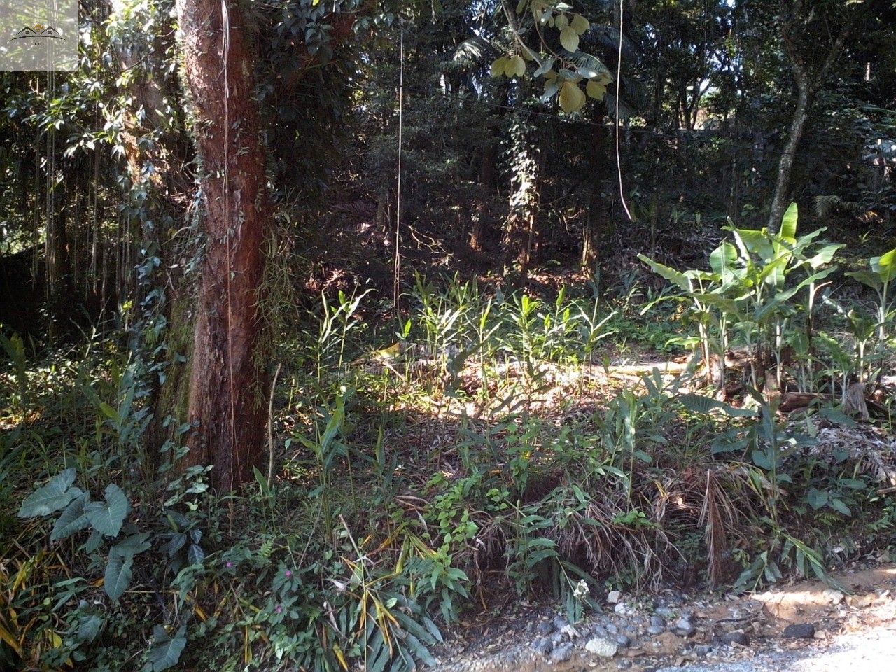 Terreno, 604 m² - Foto 4