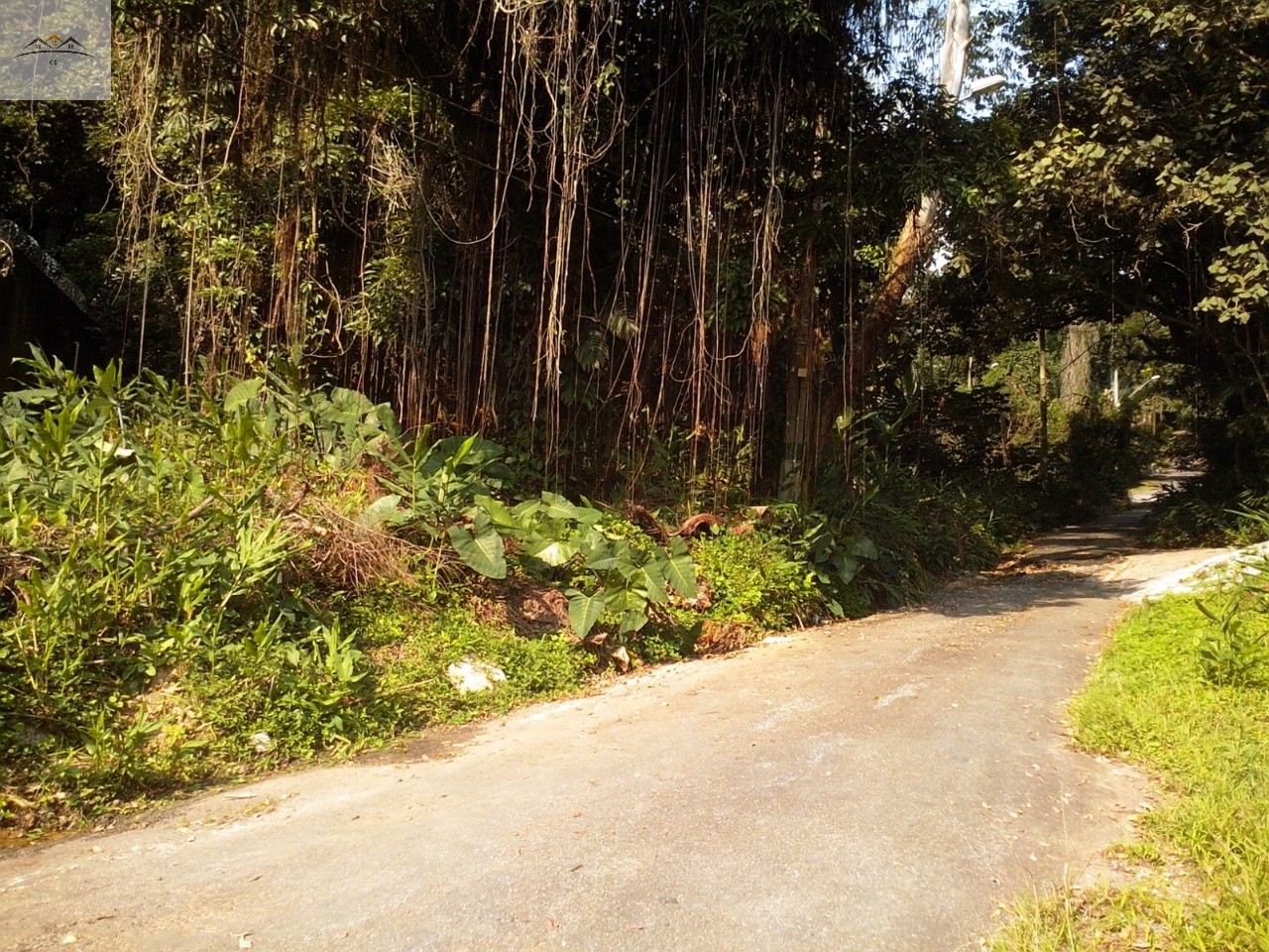 Terreno, 604 m² - Foto 1