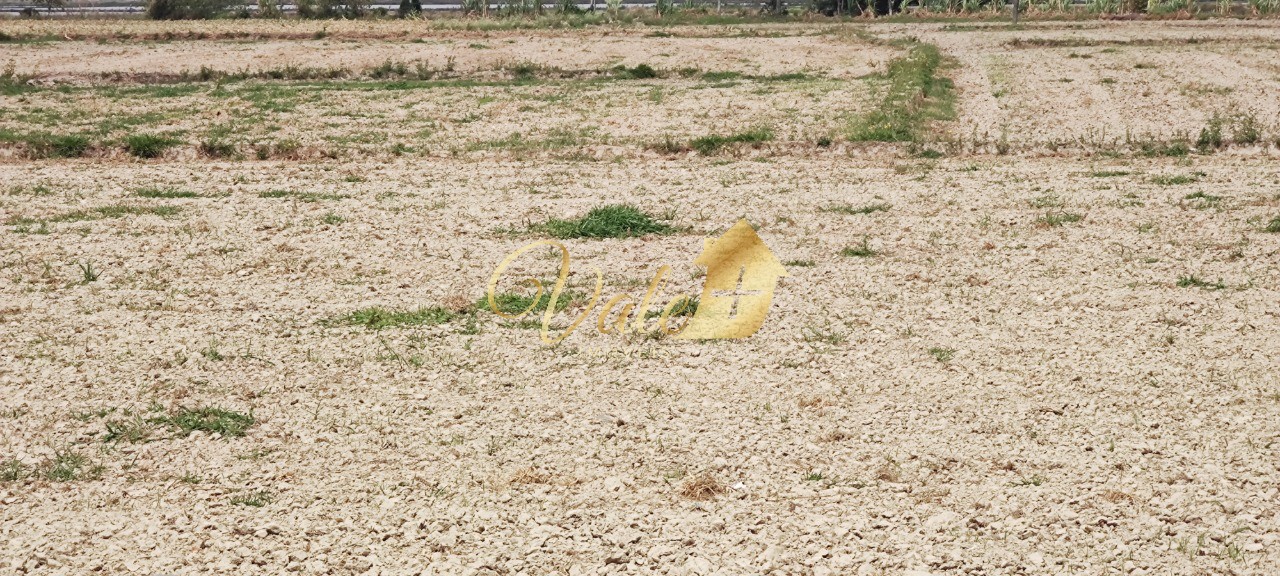 Terreno, 55 hectares - Foto 17