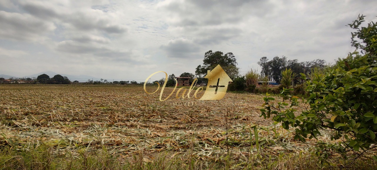 Terreno, 55 hectares - Foto 4