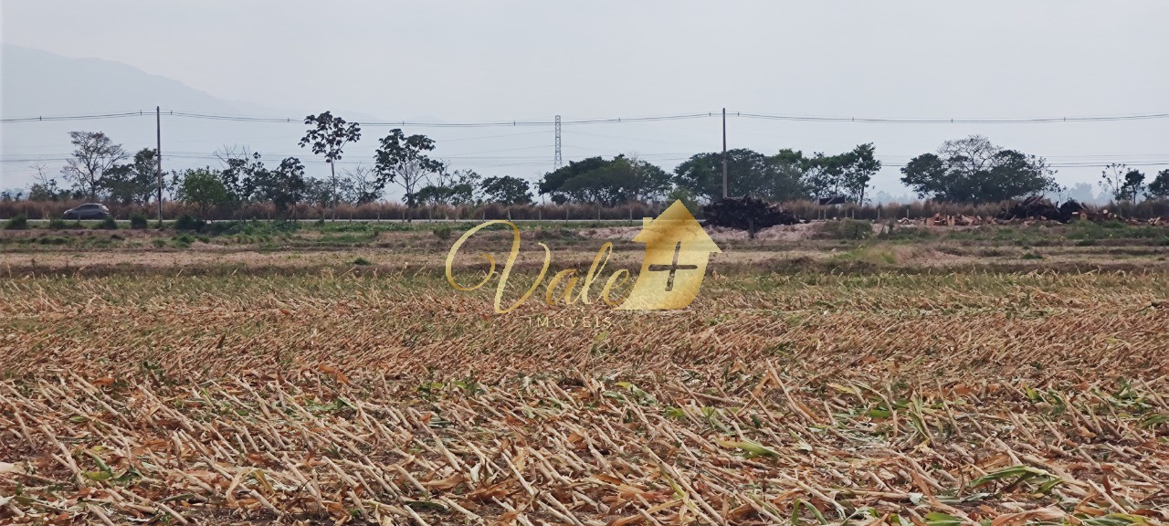 Terreno, 55 hectares - Foto 3