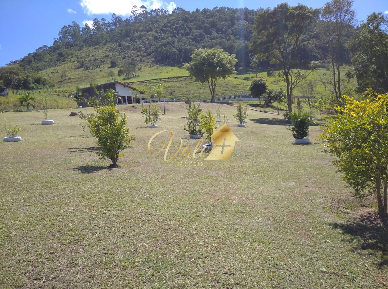 Sítio, 3 quartos, 7 hectares - Foto 12