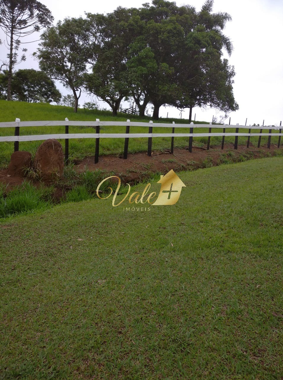 Sítio, 3 quartos, 7 hectares - Foto 41