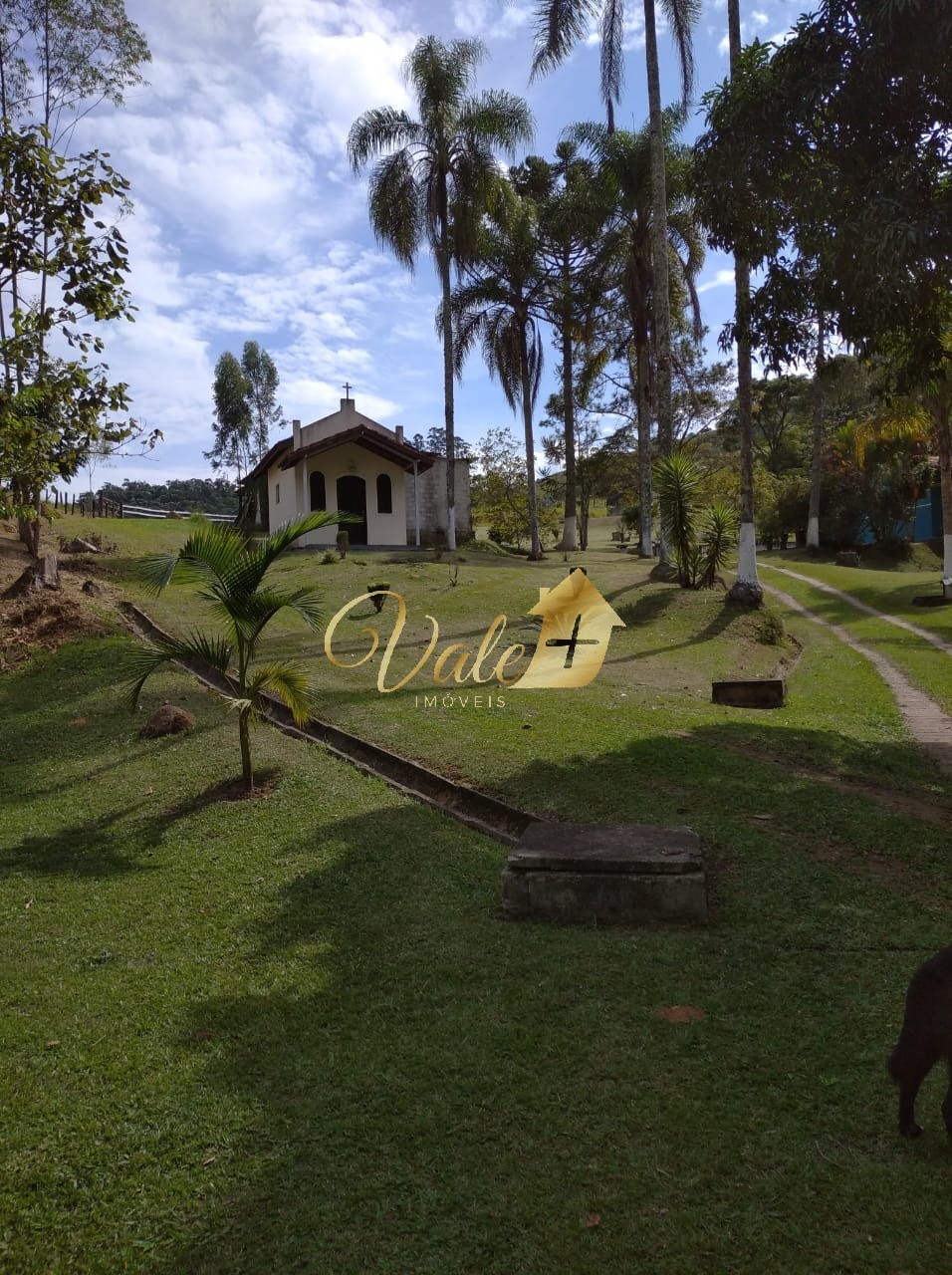 Sítio, 3 quartos, 7 hectares - Foto 13
