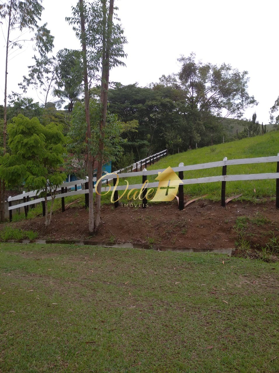 Sítio, 3 quartos, 7 hectares - Foto 44