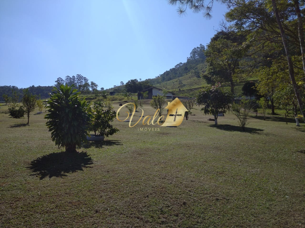 Sítio, 3 quartos, 7 hectares - Foto 6