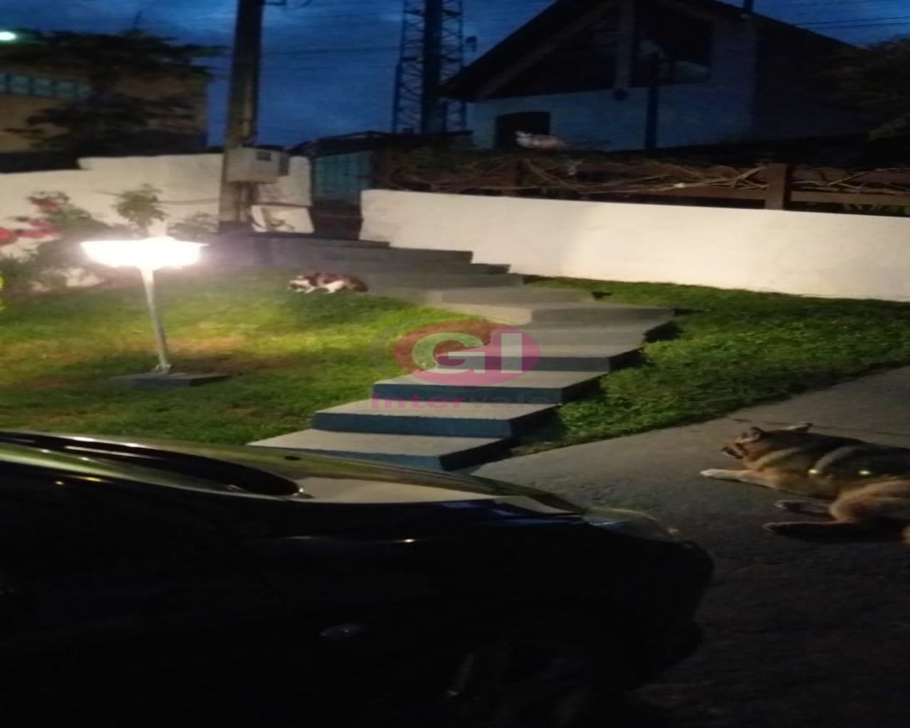 Casa, 3 quartos, 330 m² - Foto 40