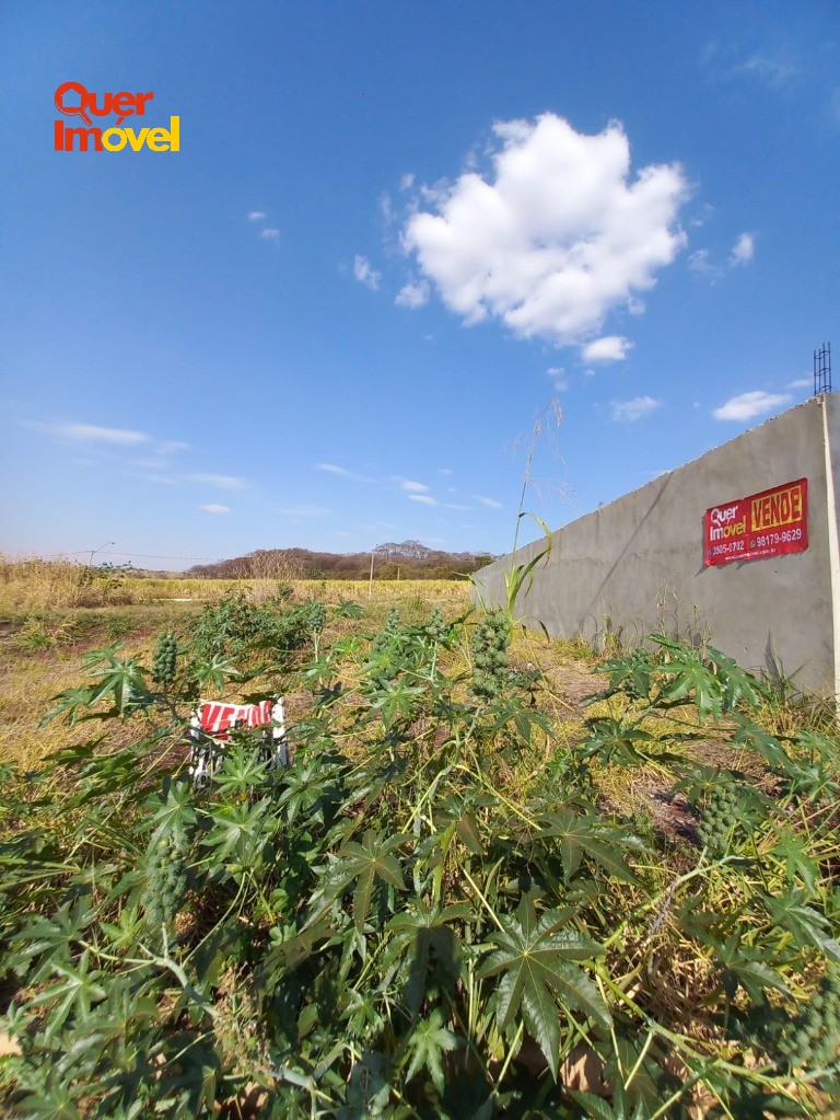 Terreno, 256 m² - Foto 5