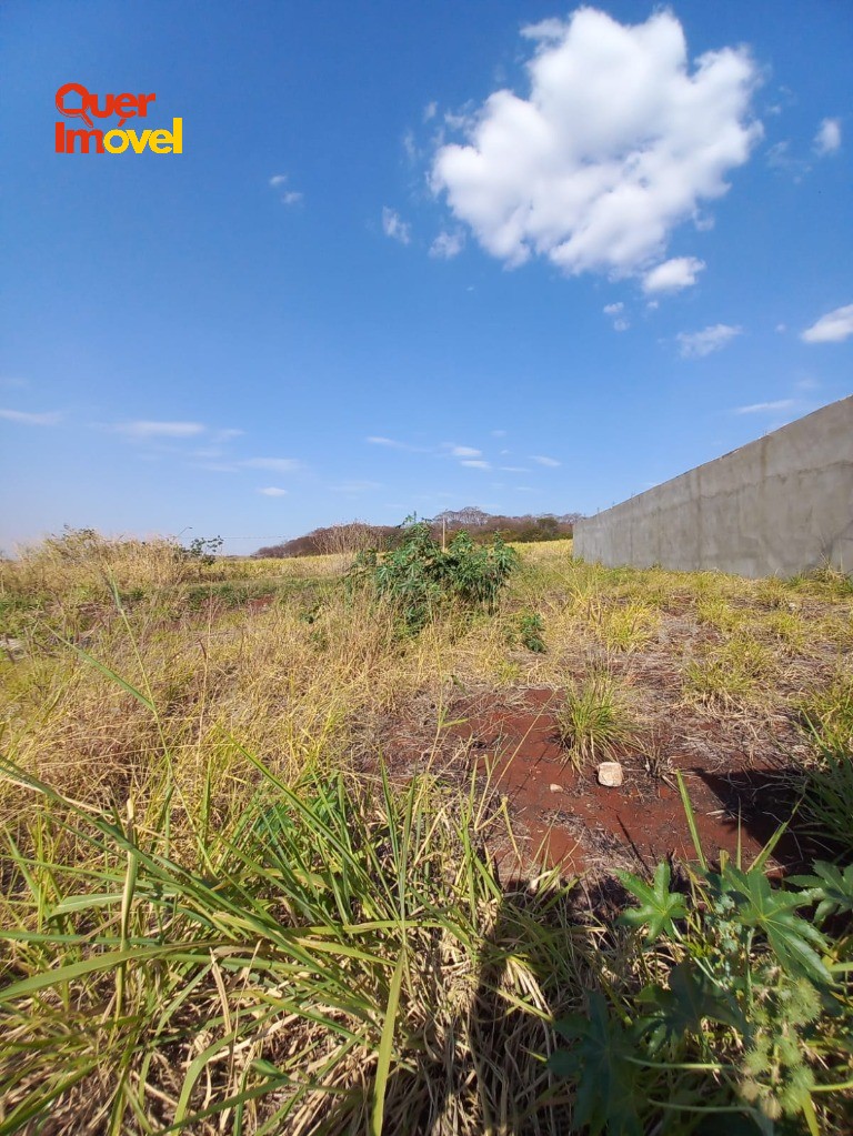 Terreno, 256 m² - Foto 1
