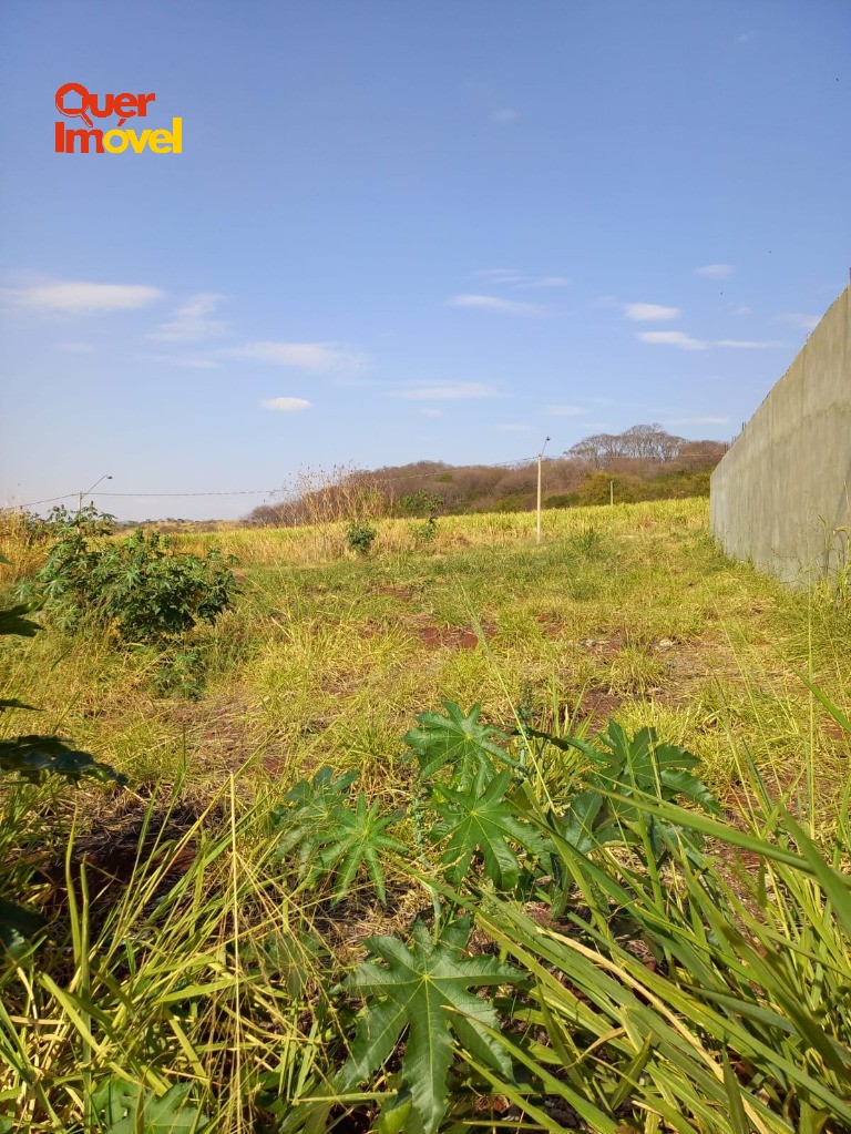 Terreno, 256 m² - Foto 3
