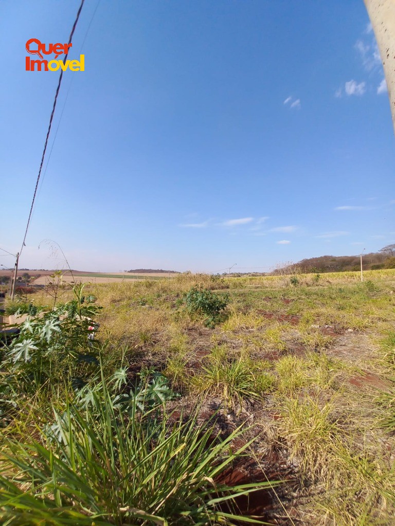 Terreno, 256 m² - Foto 6