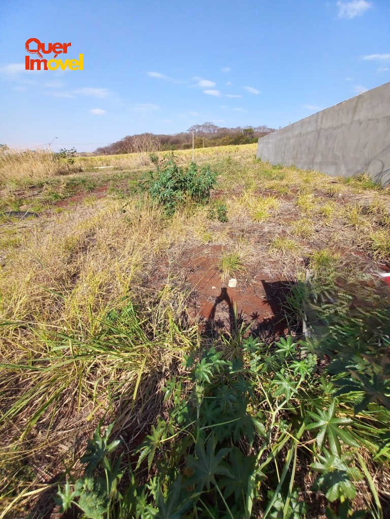 Terreno, 256 m² - Foto 4